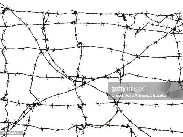 barbed wire against on a white background. - alambrada fotografías e imágenes de stock