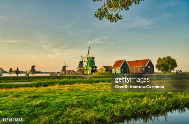 zaanse schans, north holland, netherlands - north holland stock-fotos und bilder