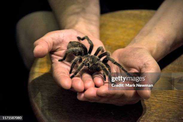 Mark Rise Photos and Premium High Res Pictures - Getty Images