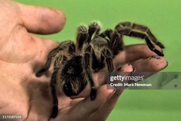 Mark Rise Photos and Premium High Res Pictures - Getty Images