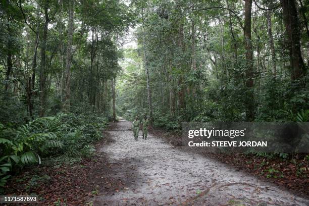 Two forest rangers walk on a road in the Akanda forest, a national park a few kilometers from the city centre of the capital, Libreville on September...