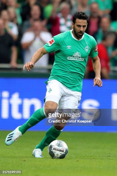Claudio Pizarro of Bremen runs with the ball during the Bundesliga match between SV Werder Bremen and FC Augsburg at Wohninvest Weserstadion on...
