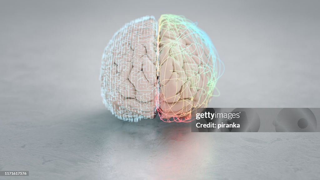 Left and right brain hemisphere