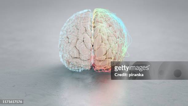 hemisfério cerebral esquerdo e direito - left cerebral hemisphere - fotografias e filmes do acervo