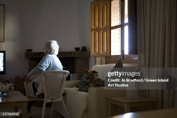 old lady watchingtv - só uma mulher idosa imagens e fotografias de stock