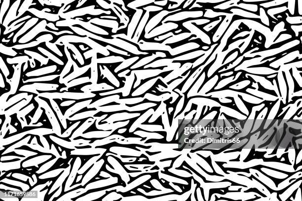 ilustraciones, imágenes clip art, dibujos animados e iconos de stock de fondo texturizado abstracto blanco y negro - arroz