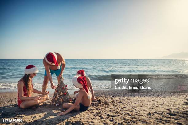 家庭建築和在海灘上裝飾沙聖誕樹 - beach christmas 個照片及圖片檔