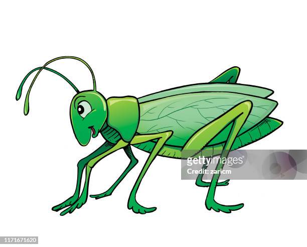 105 Grasshopper Cartoon Photos and Premium High Res Pictures - Getty Images