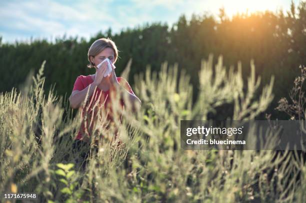 i am allergic - hayfever stock pictures, royalty-free photos & images