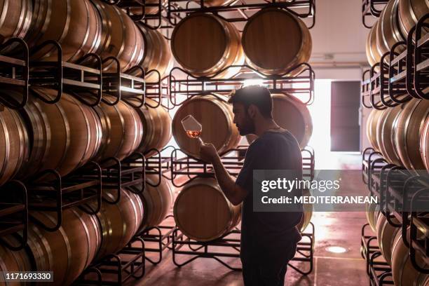young winemaker tasting wine at cellar - picking grapes stock pictures, royalty-free photos & images