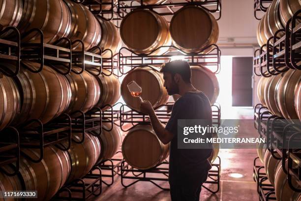 young winemaker tasting wine at cellar - rose wine stock pictures, royalty-free photos & images