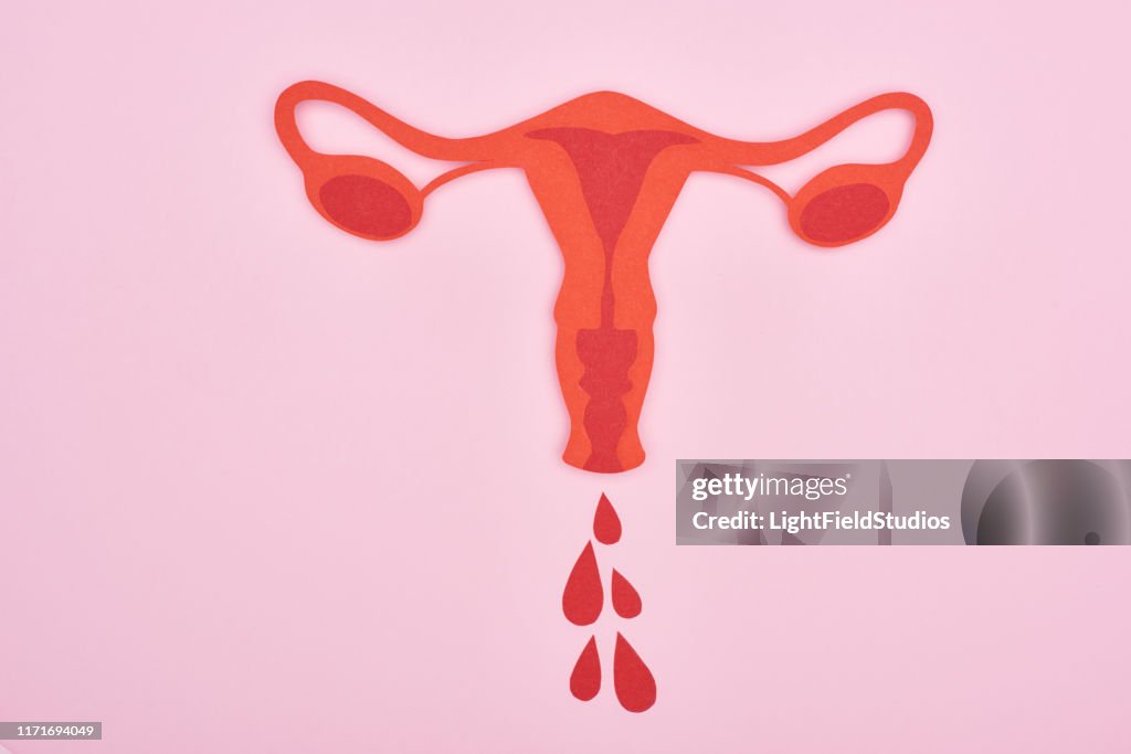 Top view of red paper cut female reproductive internal organs with blood drops on pink background
