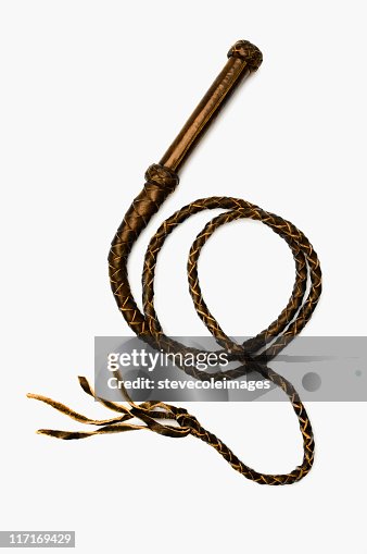 Leather Whip