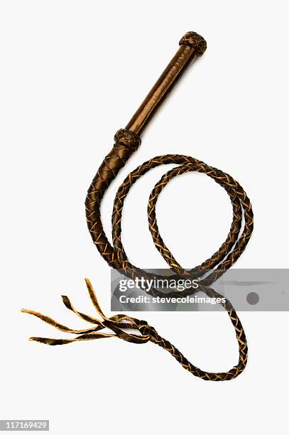 leather whip - lash stock pictures, royalty-free photos & images