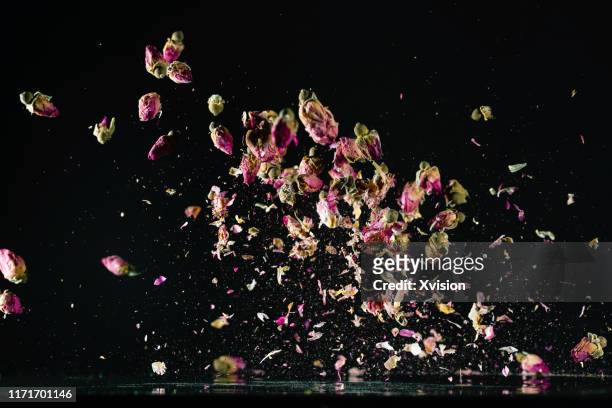 the roses flower dancing in slow motion with black  background - dry leaf stock pictures, royalty-free photos & images