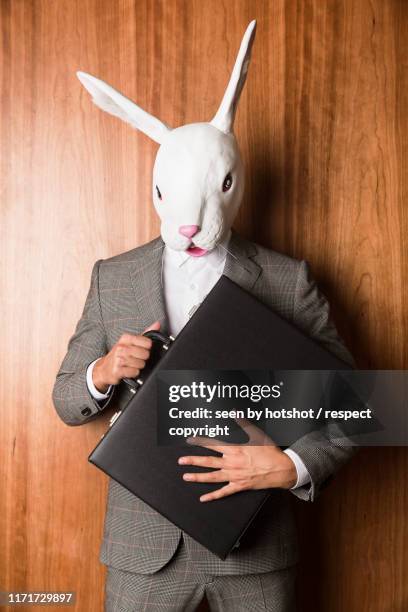 business bunny - rabbit costume stock pictures, royalty-free photos & images