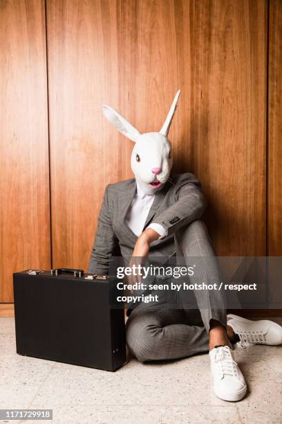 business bunny - rabbit mask stock pictures, royalty-free photos & images