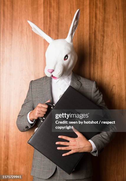 business bunny - rabbit mask stock pictures, royalty-free photos & images