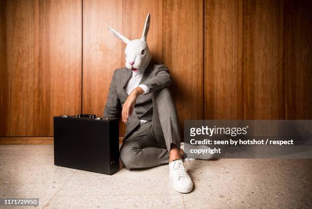 business bunny - rabbit mask stock pictures, royalty-free photos & images