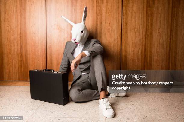 business bunny - rabbit mask stockfoto's en -beelden