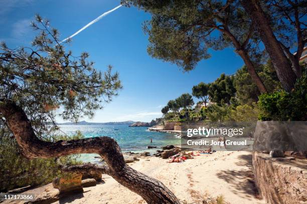 beach at cala fornells - maiorca 個照片及圖片檔