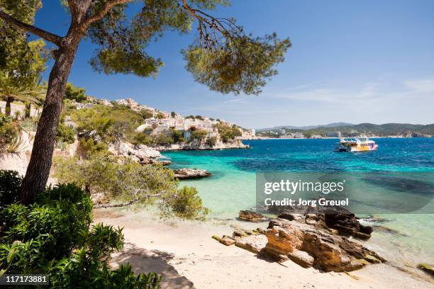 a beach at cala fornells - islas baleares fotografías e imágenes de stock