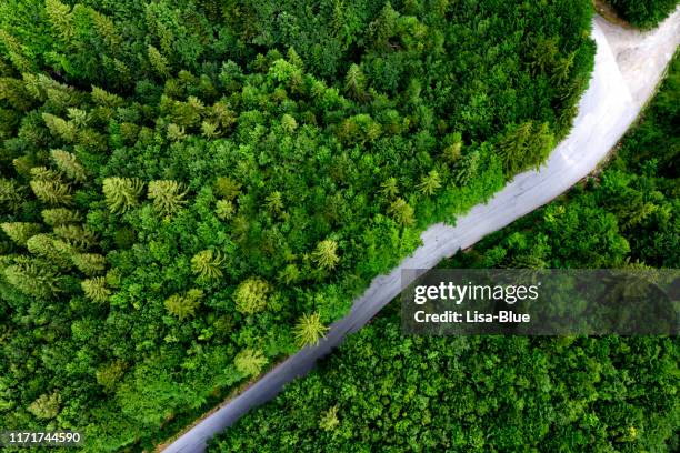 luftaufnahme der straße mit gabel im wald - fork in the road stock-fotos und bilder