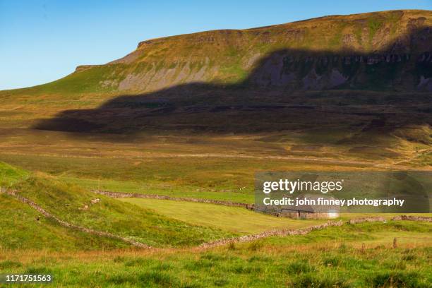 pen-y-ghent cloud shadow and a traditional barn in the yorkshire dales, england. - edward-lambton-7th-earl-of-durham stockfoto's en -beelden