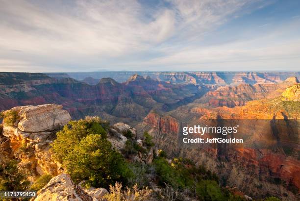 bright angel canyon at sunrise - flagstaff arizona stock pictures, royalty-free photos & images