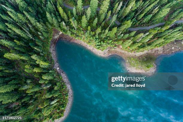 drone point of view looking down on the edge of a mountain lake - north america forest stock pictures, royalty-free photos & images