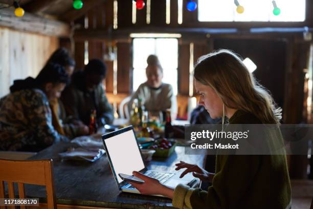 young woman using laptop on table while friends talking in background at log cabin - five people icon stock pictures, royalty-free photos & images