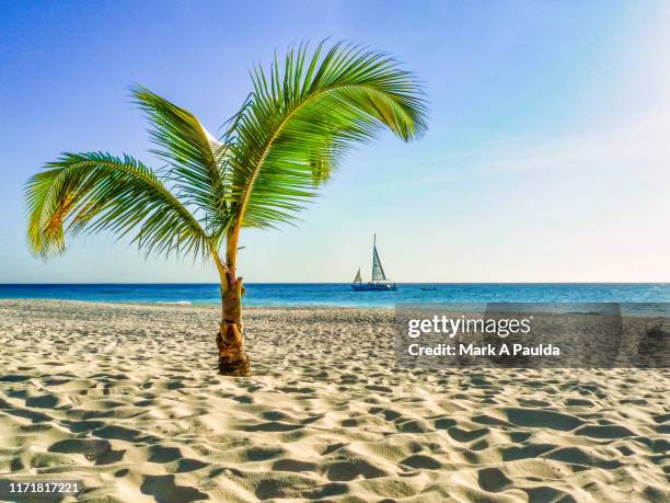 sailing in the caribbean - aruba beach stock-fotos und bilder