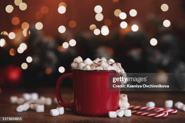 hot winter tea in a red mug with star shaped christmas cookies and warm scarf - rural still life - big country breakfast stock pictures, royalty-free photos & images