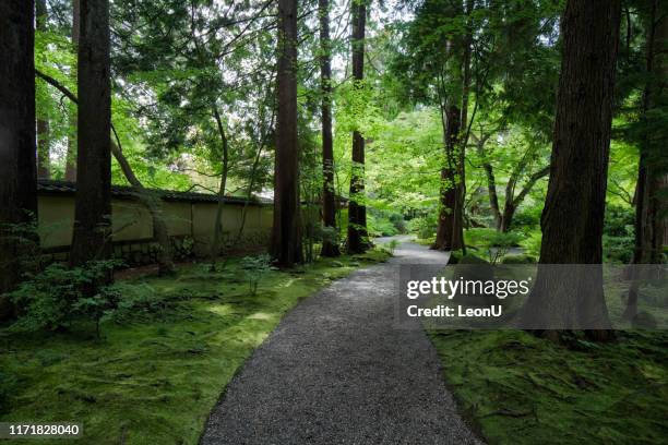 nitobe memorial garden, vancouver, kanada - university of british columbia stock-fotos und bilder