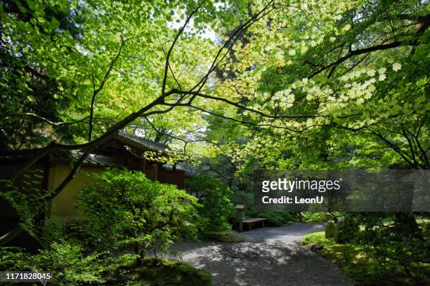nitobe memorial garden, vancouver, canada - university of british columbia stock pictures, royalty-free photos & images