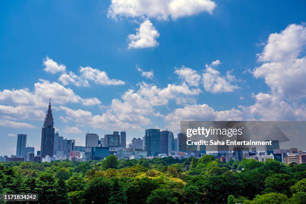 shinjuku buildings,tokyo,japan - 新宿御苑 ストックフォトと画像