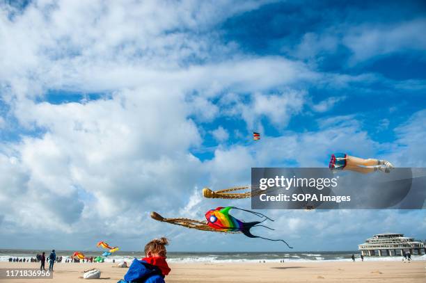 Man looks at the kites in the sky during festival. The international Kite Festival Scheveningen makes the most of the consistent prevailing winds...