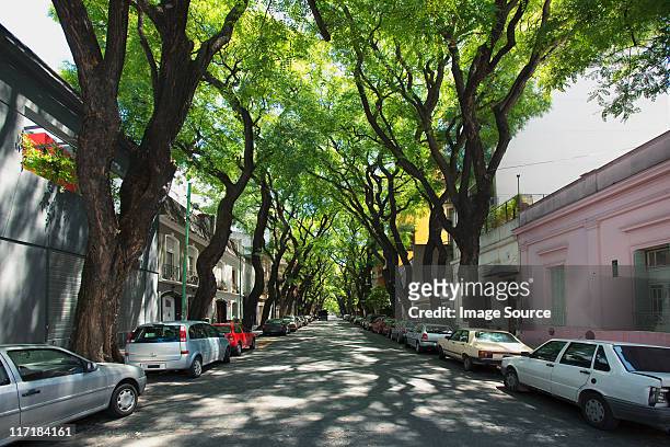 street in palermo viejo, buenos aires, argentina - palermo - fotografias e filmes do acervo
