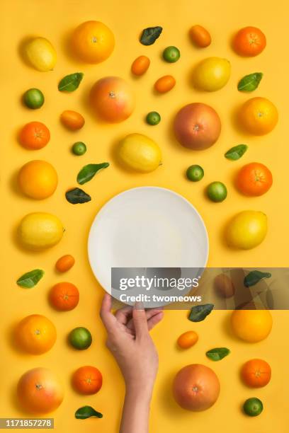 citrus fruit family conceptual still life. - plate food photos et images de collection