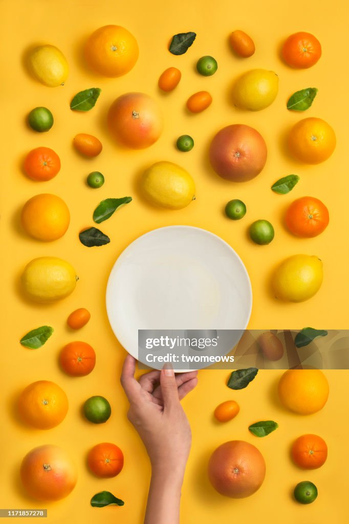 Citrus fruit family conceptual still life.