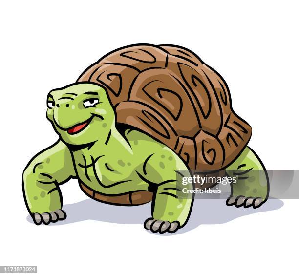 ilustraciones, imágenes clip art, dibujos animados e iconos de stock de tortuga sonriente - dermoquélidos