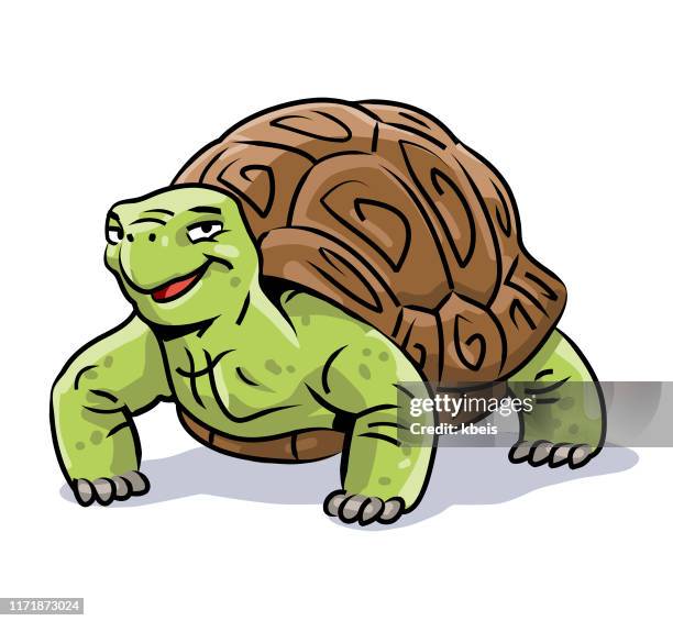 stockillustraties, clipart, cartoons en iconen met lachende schildpad - turtle