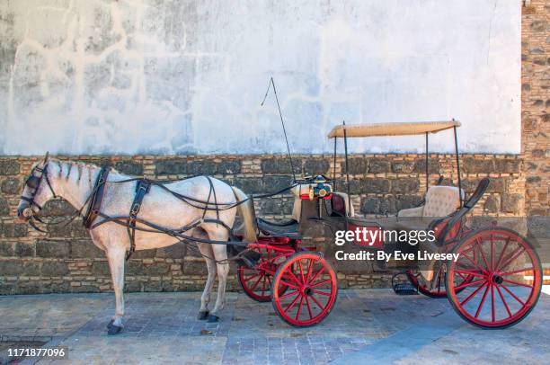 horse drawn carriage - carriage wheel stock pictures, royalty-free photos & images