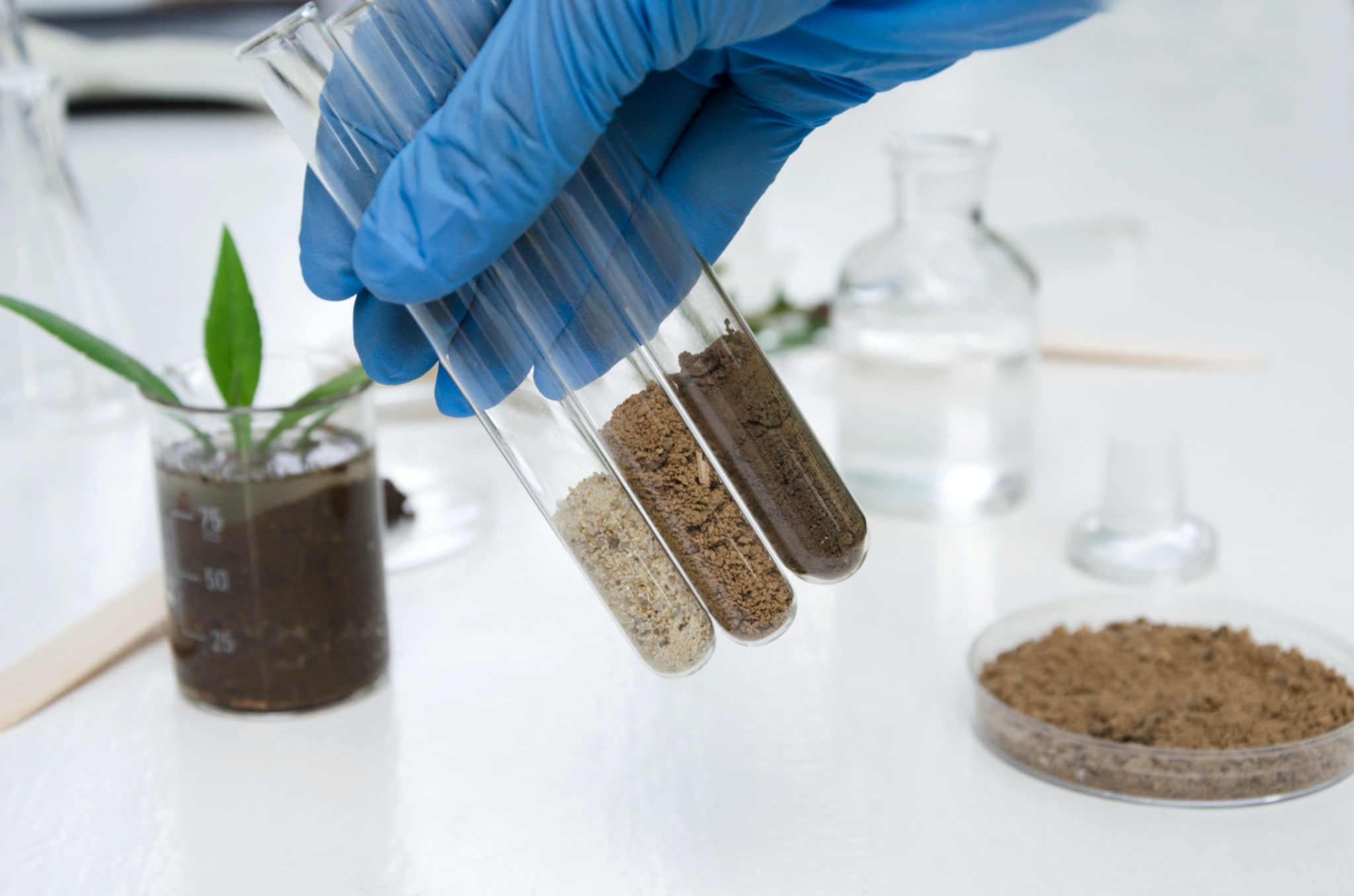 soil testing