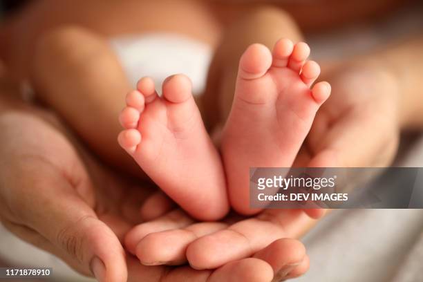 close up of newborn baby legs - touch toes stock-fotos und bilder