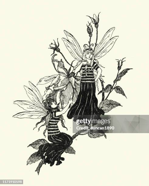 flower fairies, 19th century engraving - fairy costume stock illustrations