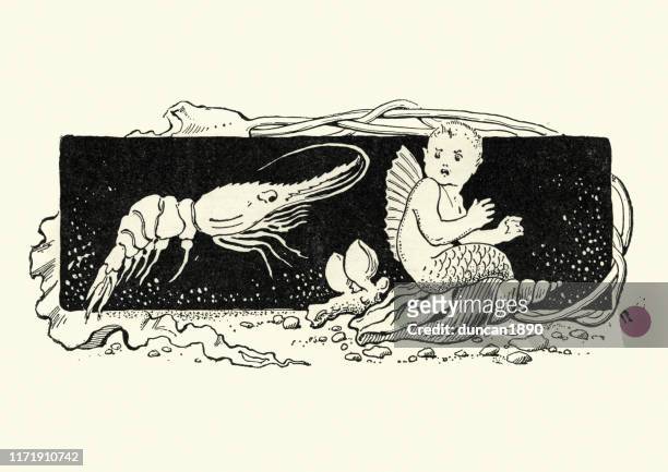 shrimp and the merbaby, fairytale - vintage mermaid stock illustrations