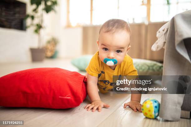 crawling baby with pacifier - pacifier stock pictures, royalty-free photos & images
