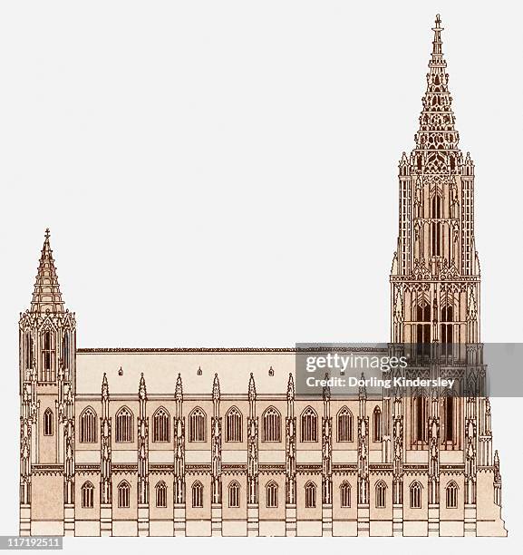 illustration of ulm minster in germany, which has the tallest spire in the world - ulmer münster stock-grafiken, -clipart, -cartoons und -symbole