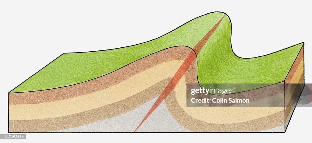 Cross-section illustration of a fold in the rock strata of the Earth
